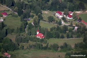 Borowice z lotu ptaka